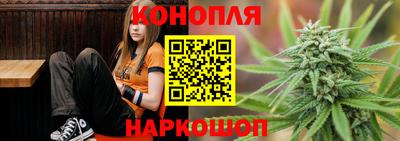 PSILOCYBIN Ирбит