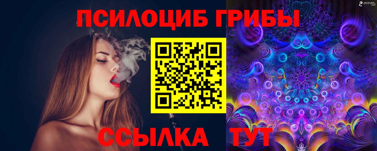 где купить   Псилоцибиновые грибы прущие грибы  Вход с VPN  Псилоцибиновые грибы Psilocybine cubensis  Кыштым 
